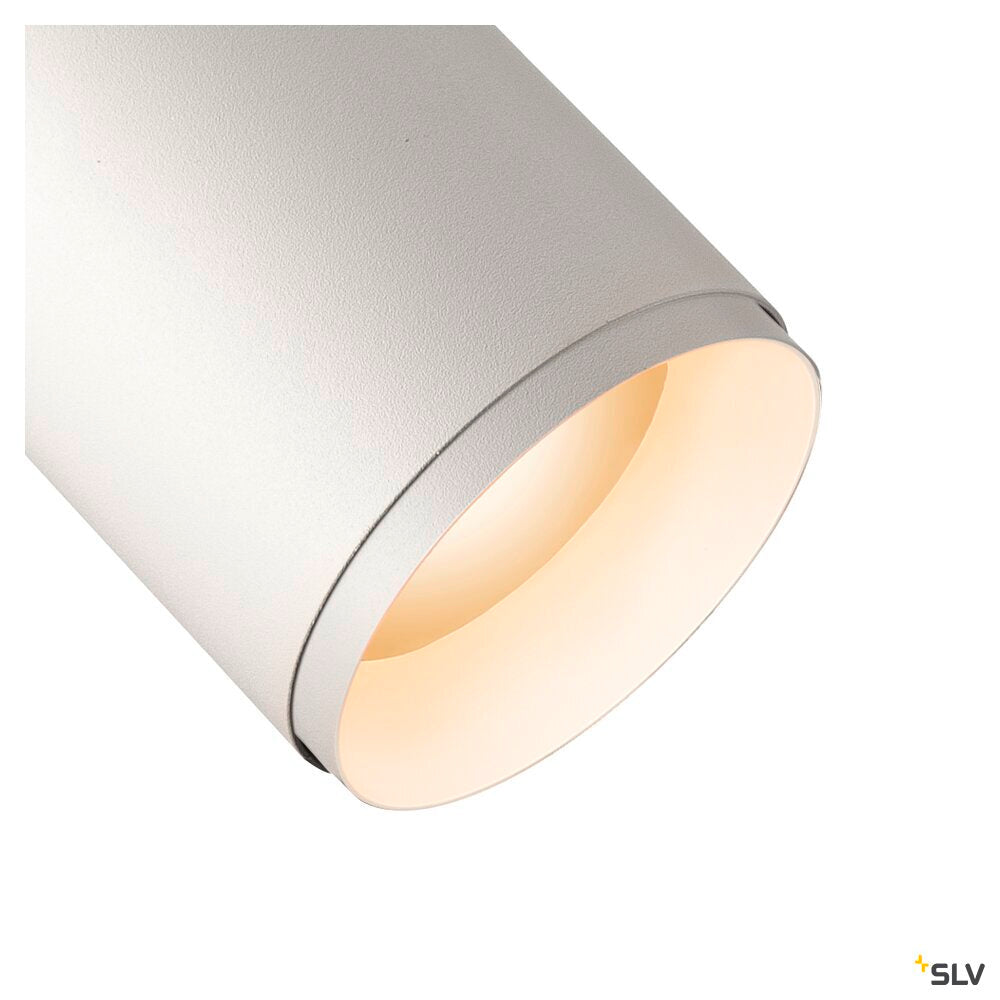 3~ Numinos® Phase M