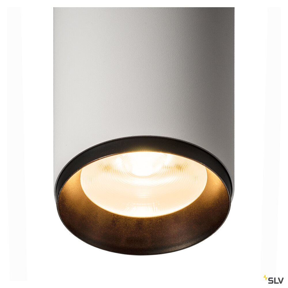 Numinos® Cl Phase L