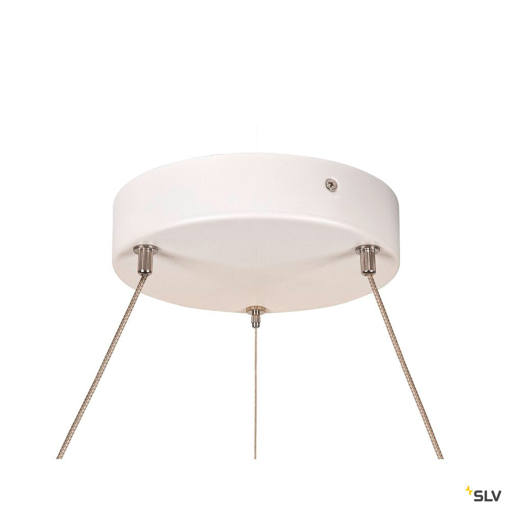 One 60 Pd Dali Up/down