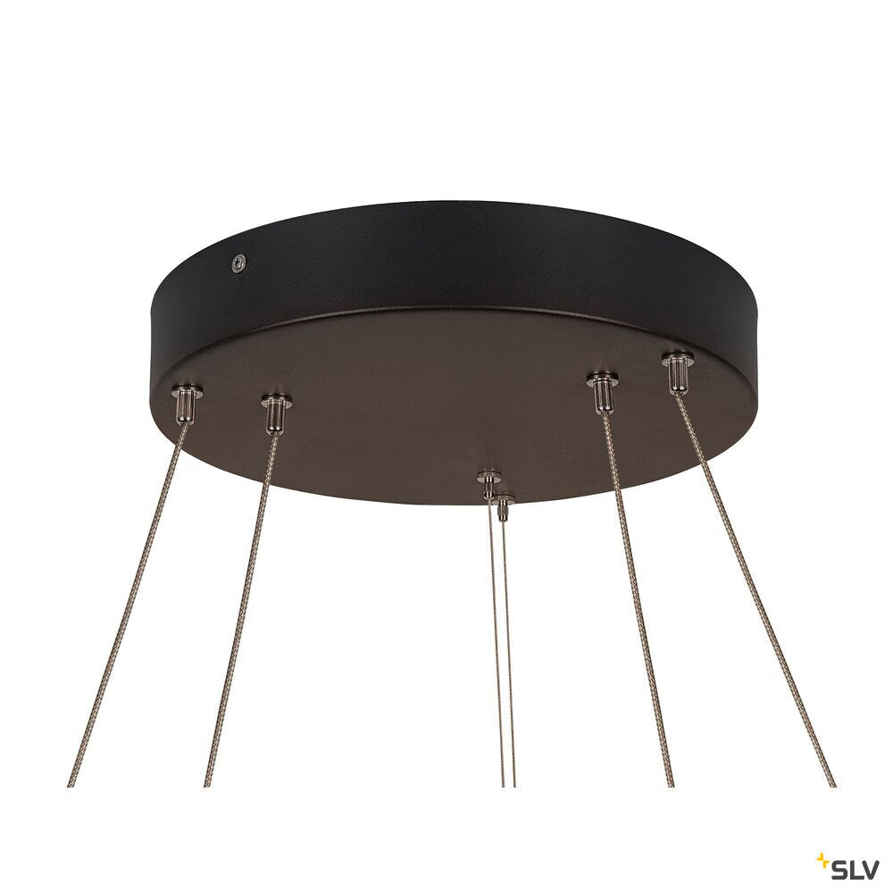 One Double Pd Dali Up/down