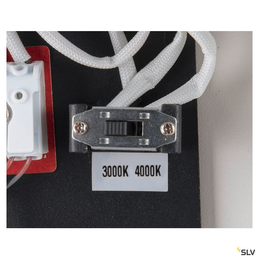 One Double Pd Dali Up/down