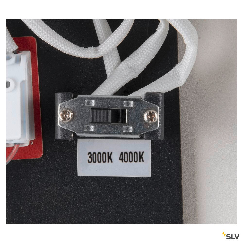 One Double Pd Dali Up/down