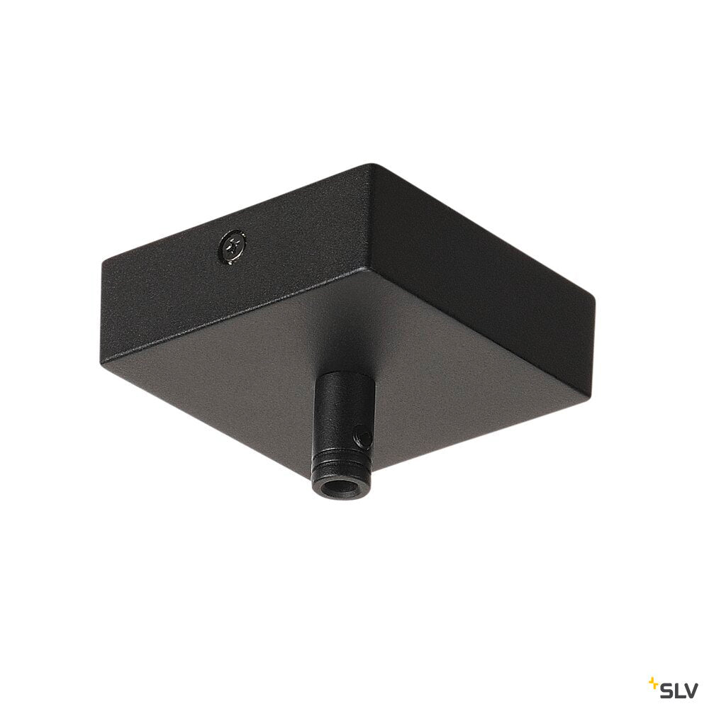 Роза за таван