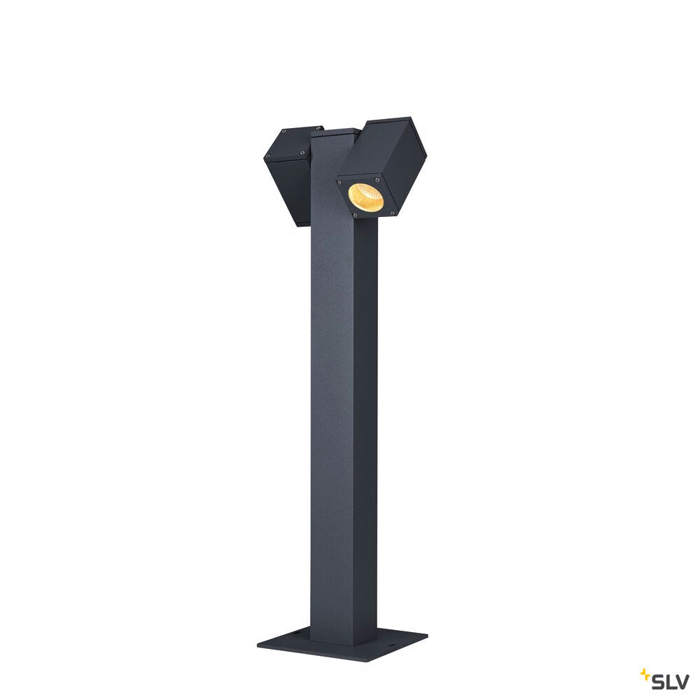 Theo Pathlight