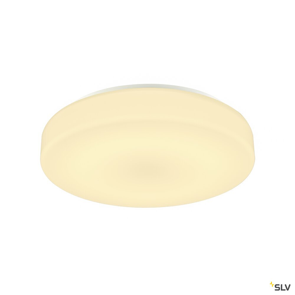 Lipsy® 40