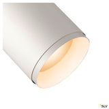 3~ Numinos® Phase M