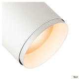 3~ Numinos® Phase L