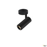Numinos® Spot Dali S