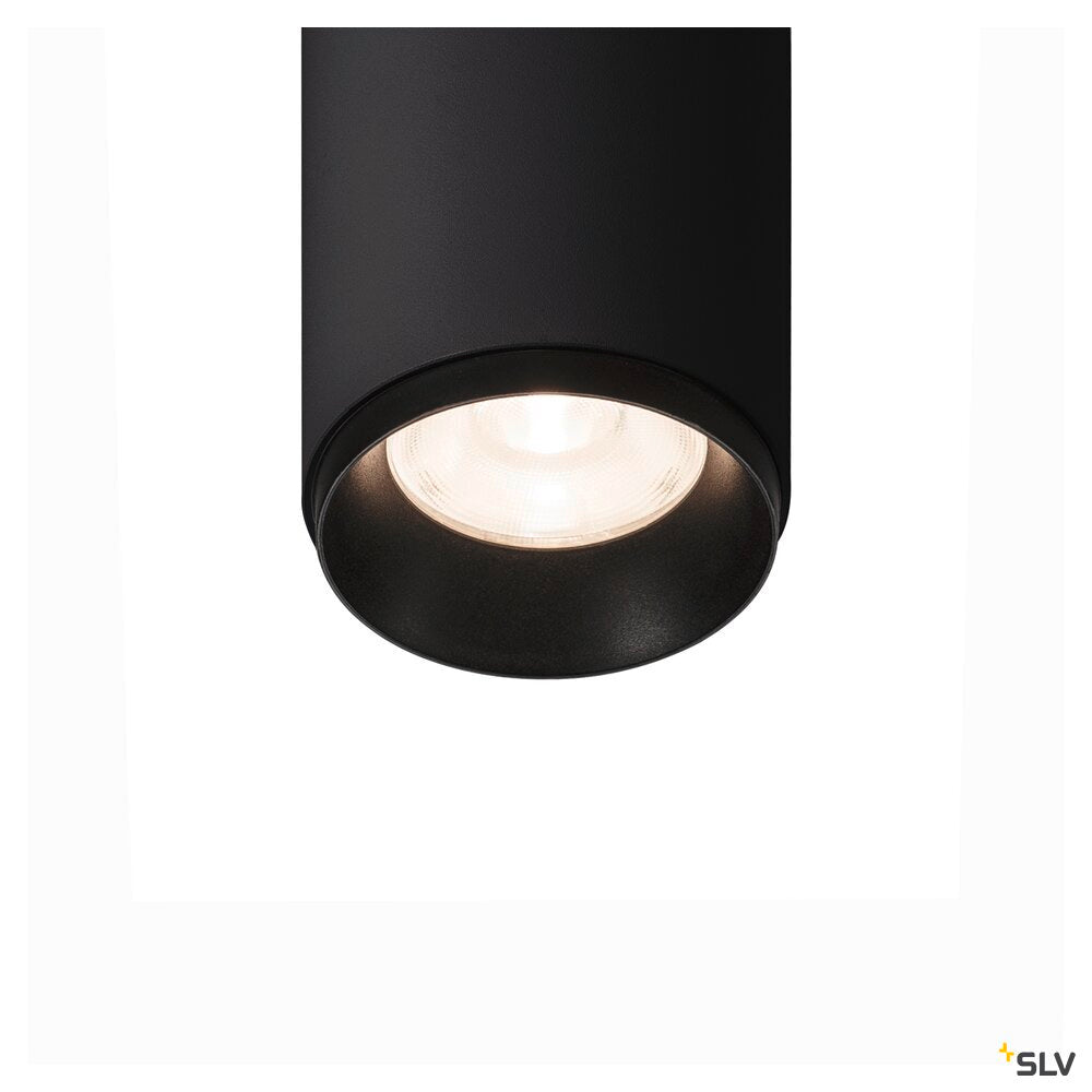Numinos® Spot Dali S