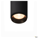 Numinos® Cl Dali S