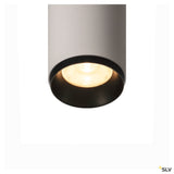 Numinos® Cl Dali S