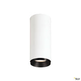 Numinos® Cl Dali S
