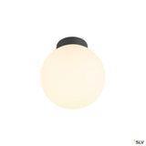 Sun 20