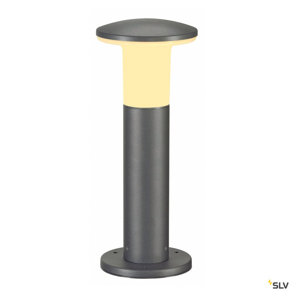 Alpa Mushroom 45